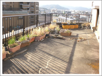 家一軒丸ごと【便利屋】暮らしなんでもお助け隊 福岡茶山店　ベランダ植木鉢片付け施工前